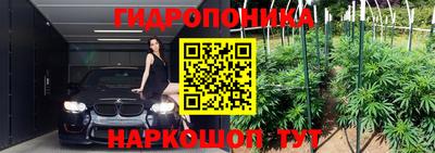 дурь Усть-Джегута